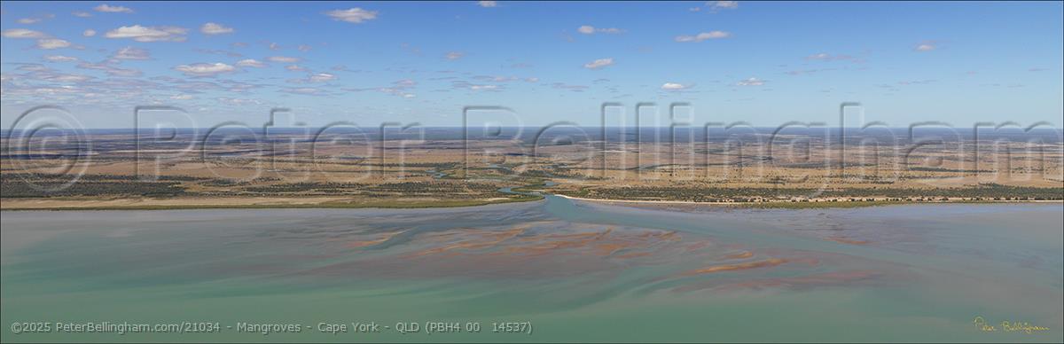 Peter Bellingham Photography Mangroves - Cape York - QLD (PBH4 00 14537)